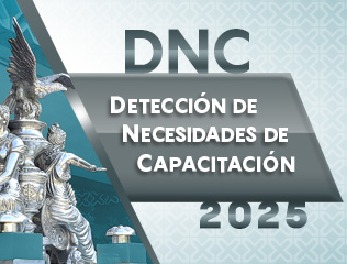 Detección de Necesidades de Capacitación 2025